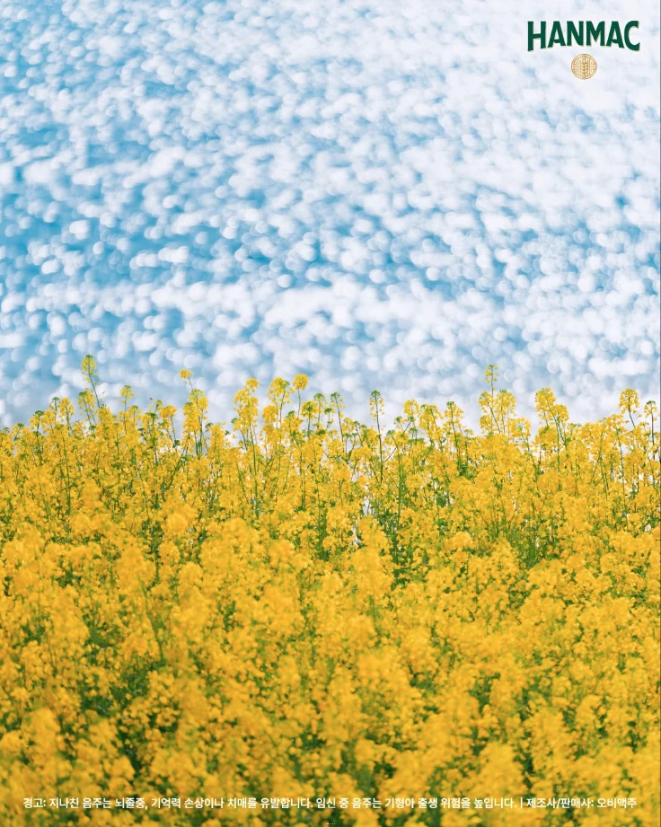 한맥 장소 디스커버리 첫번째 에피소드 봄꽃이야기 중 제주도 서쪽 박수기정 유채꽃밭과 제주 앞 바다에 윤슬이 비추고 있습니다.