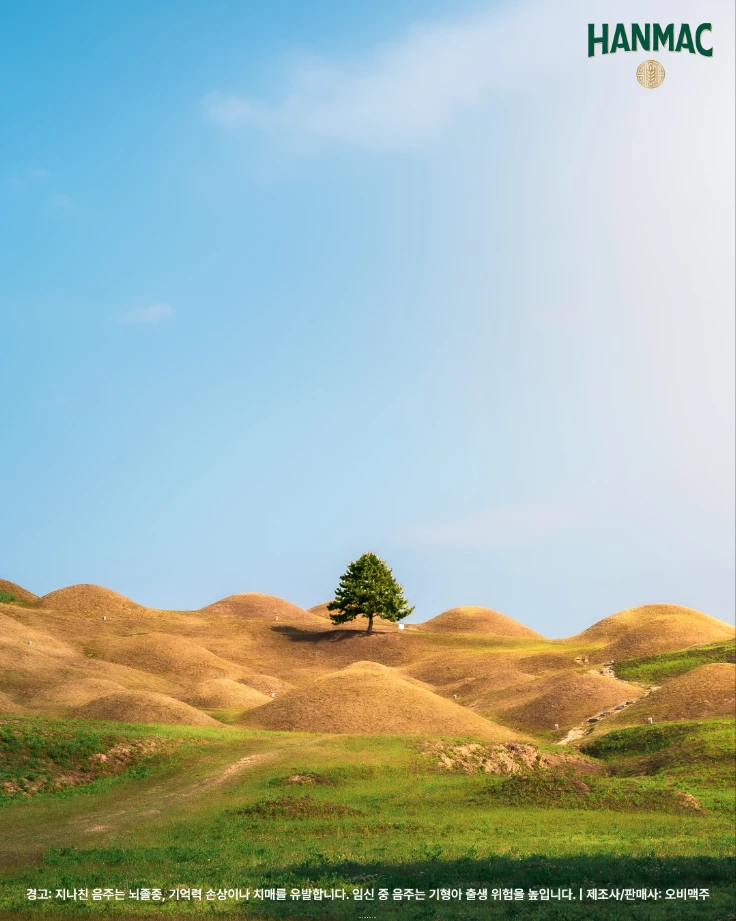 한맥 장소 디스커버리 두번째 에피소드 고즈넉한 전국 명상 스팟의 네번째 대구 불로동 고분군에 나홀로 나무가 있습니다.