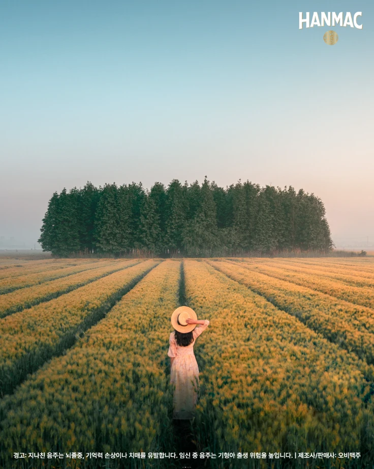 한맥 장소 디스커버리 두번째 에피소드 고즈넉한 전국 명상 스팟의 세번째 군산 옥녀교차로 황금보리밭에 모자쓴 여성이 멋진 나무들을 보고 있습니다.